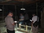 Sabung Ayam